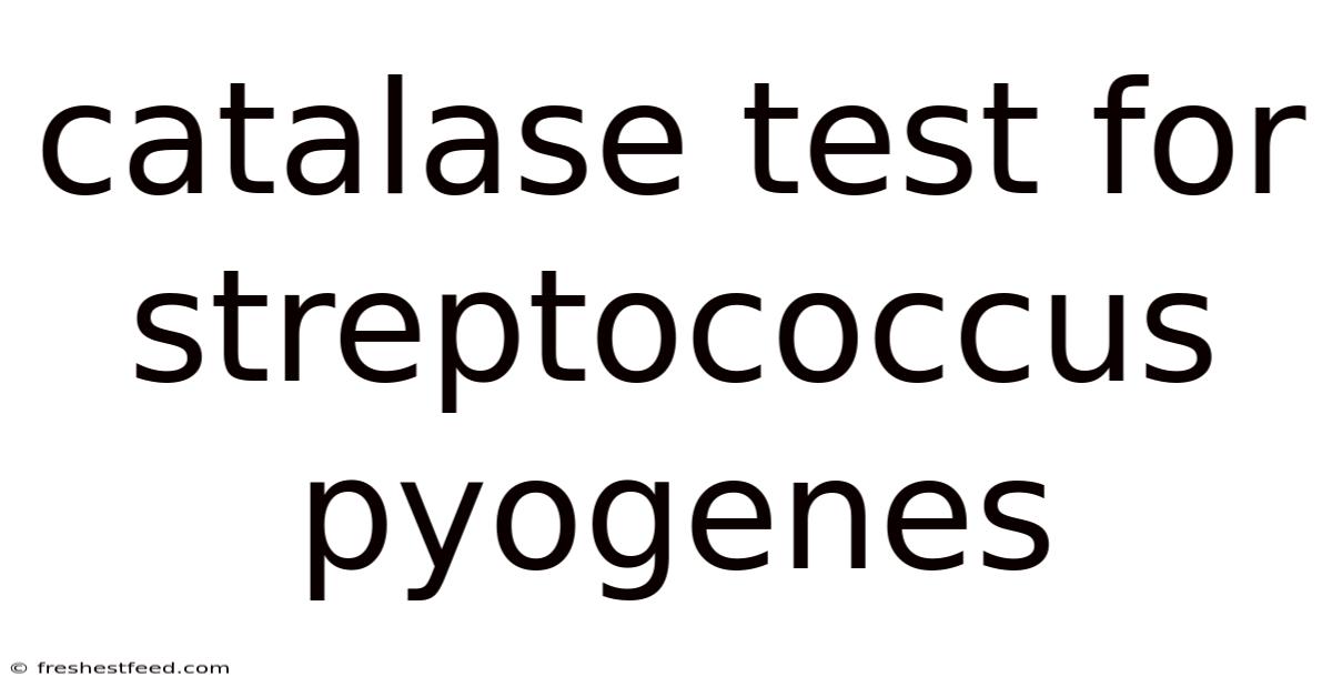 Catalase Test For Streptococcus Pyogenes